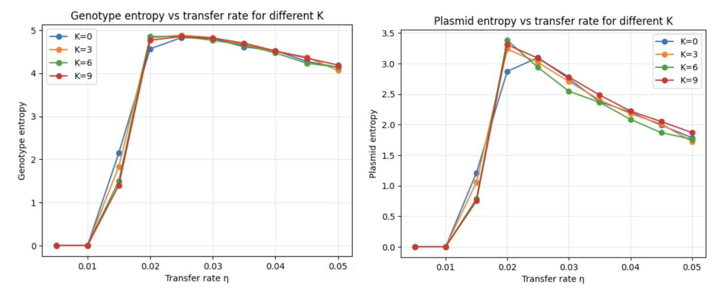 Epistasis in Plasmid HGT simulation